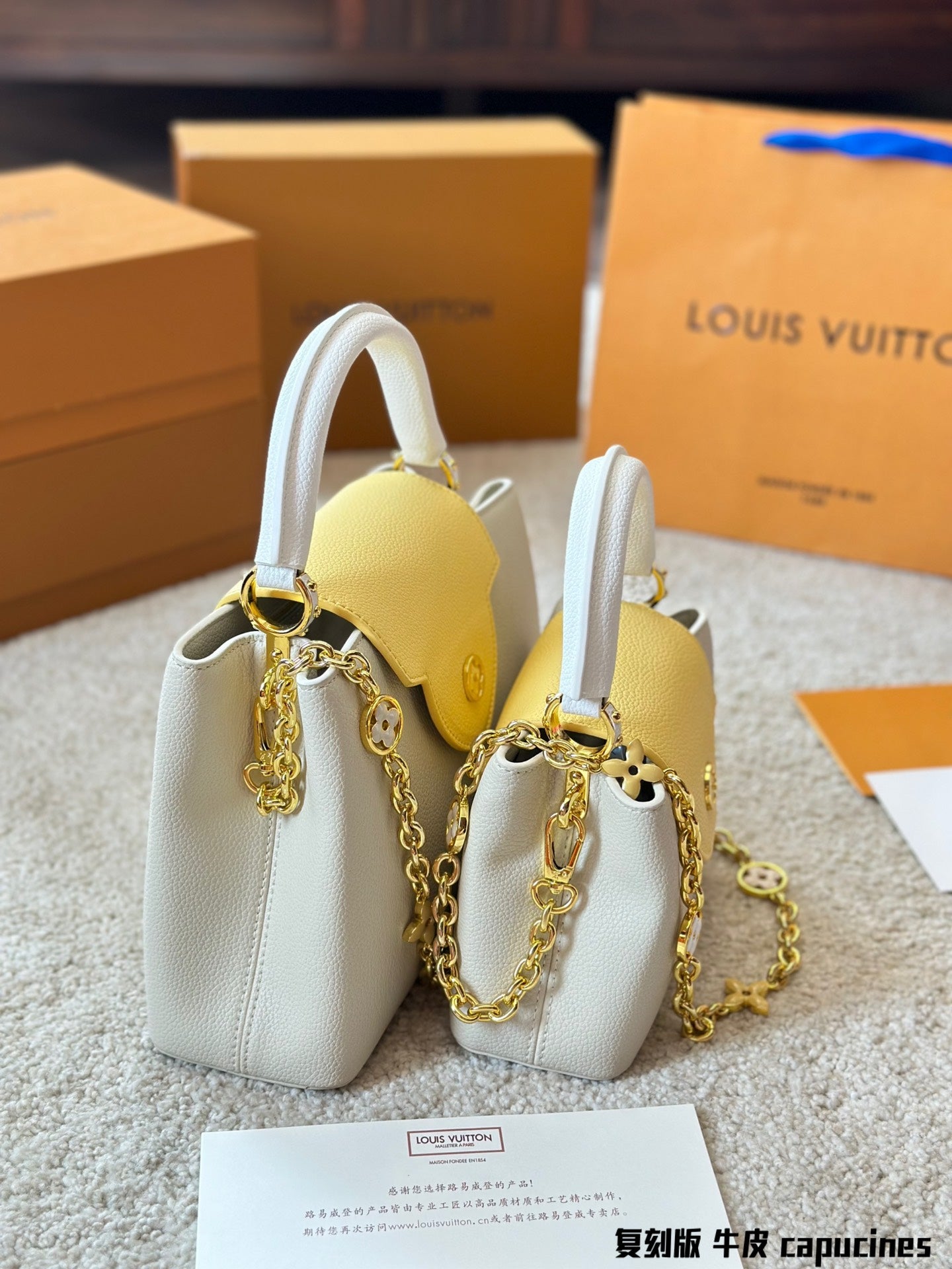 Louis Vuitton Capucines Handbag( 27cm and 20cm)