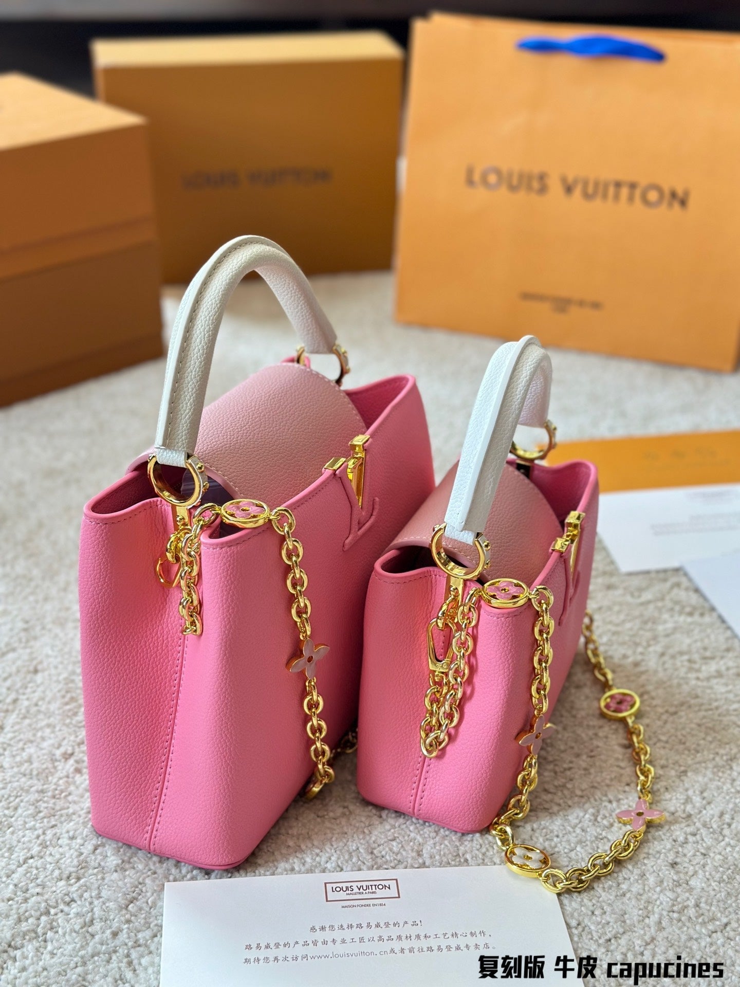 Louis Vuitton Capucines Handbag( 27cm and 20cm)