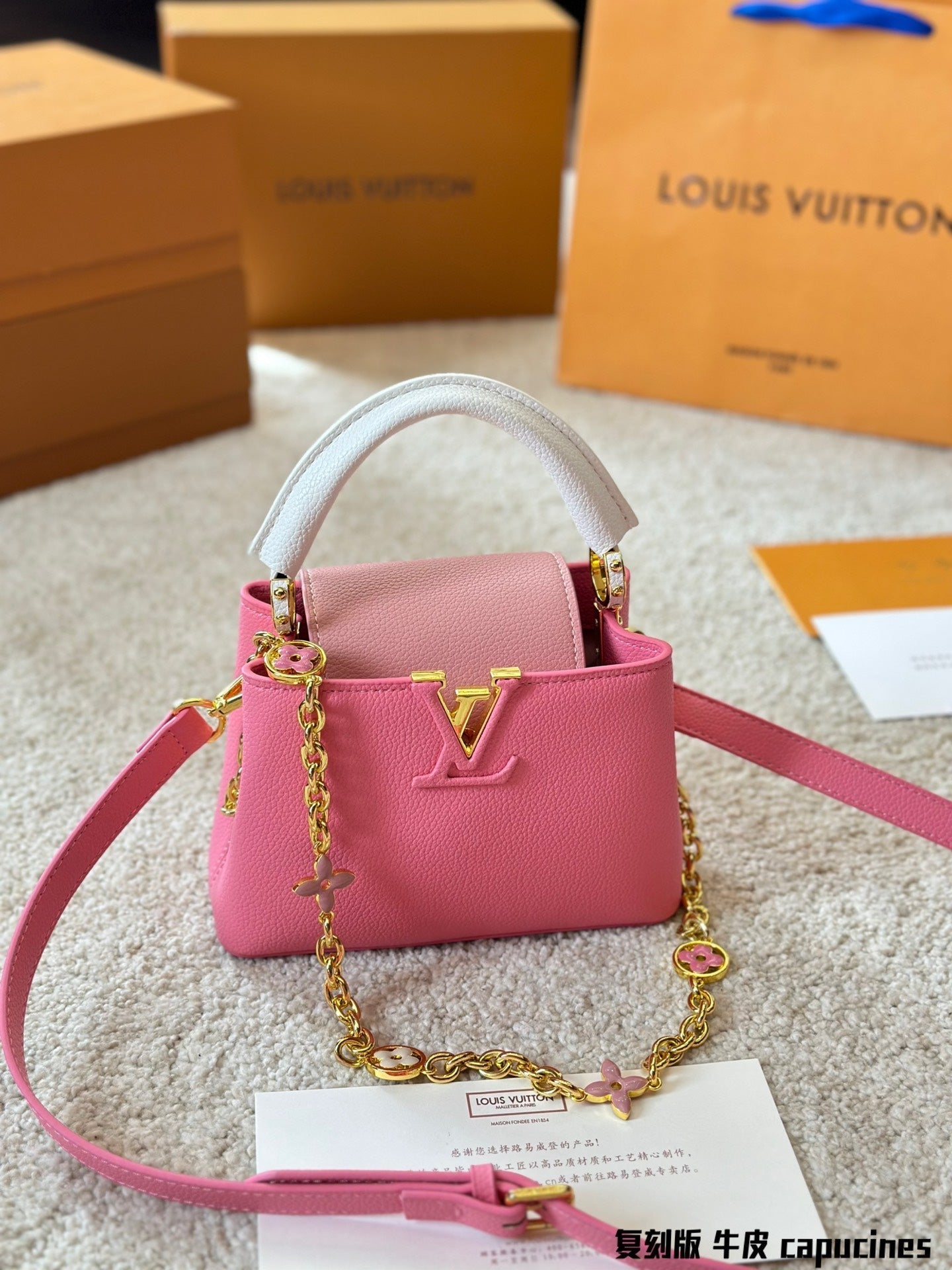 Louis Vuitton Capucines Handbag( 27cm and 20cm)