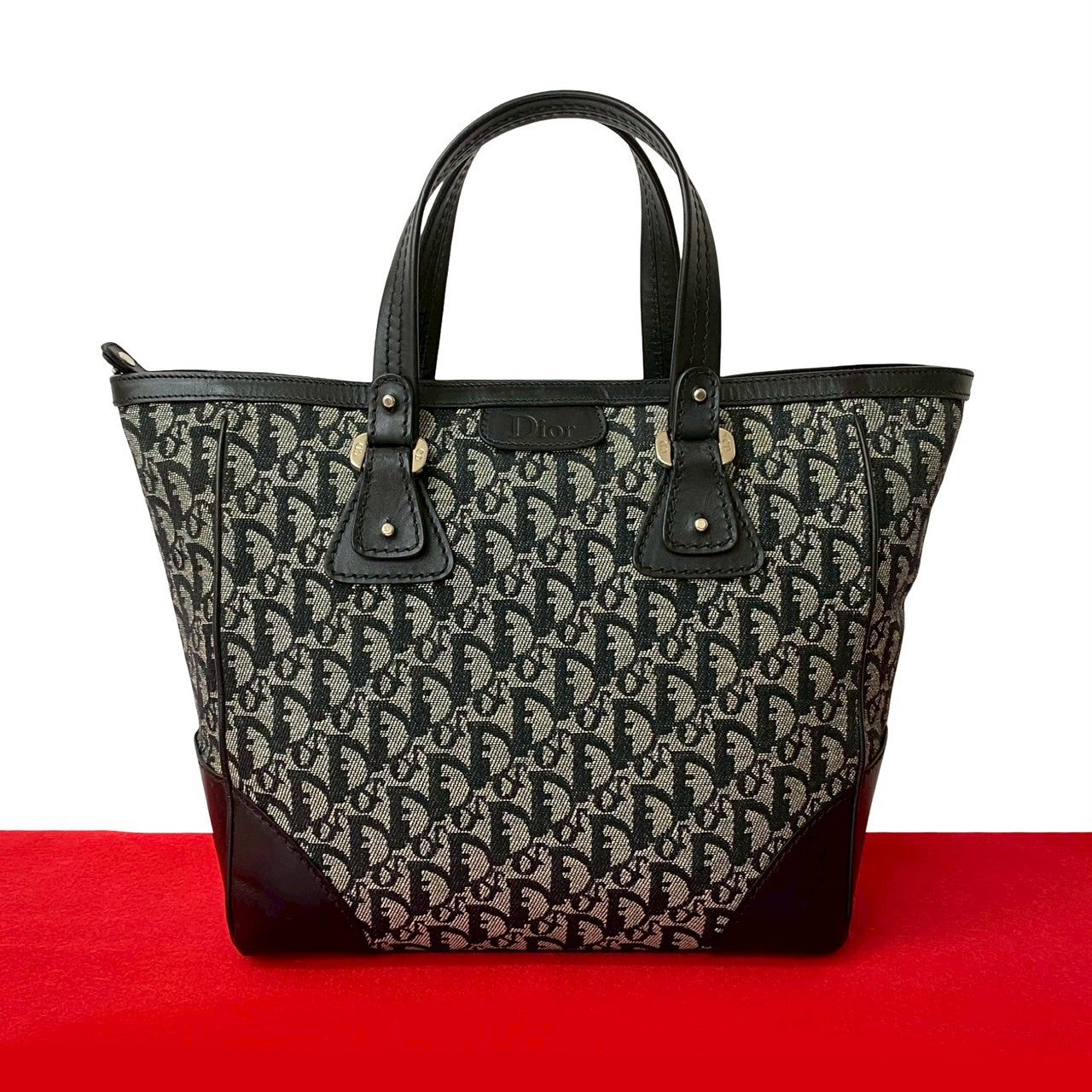 Christian Dior Trotter Canvas Leather Handbag