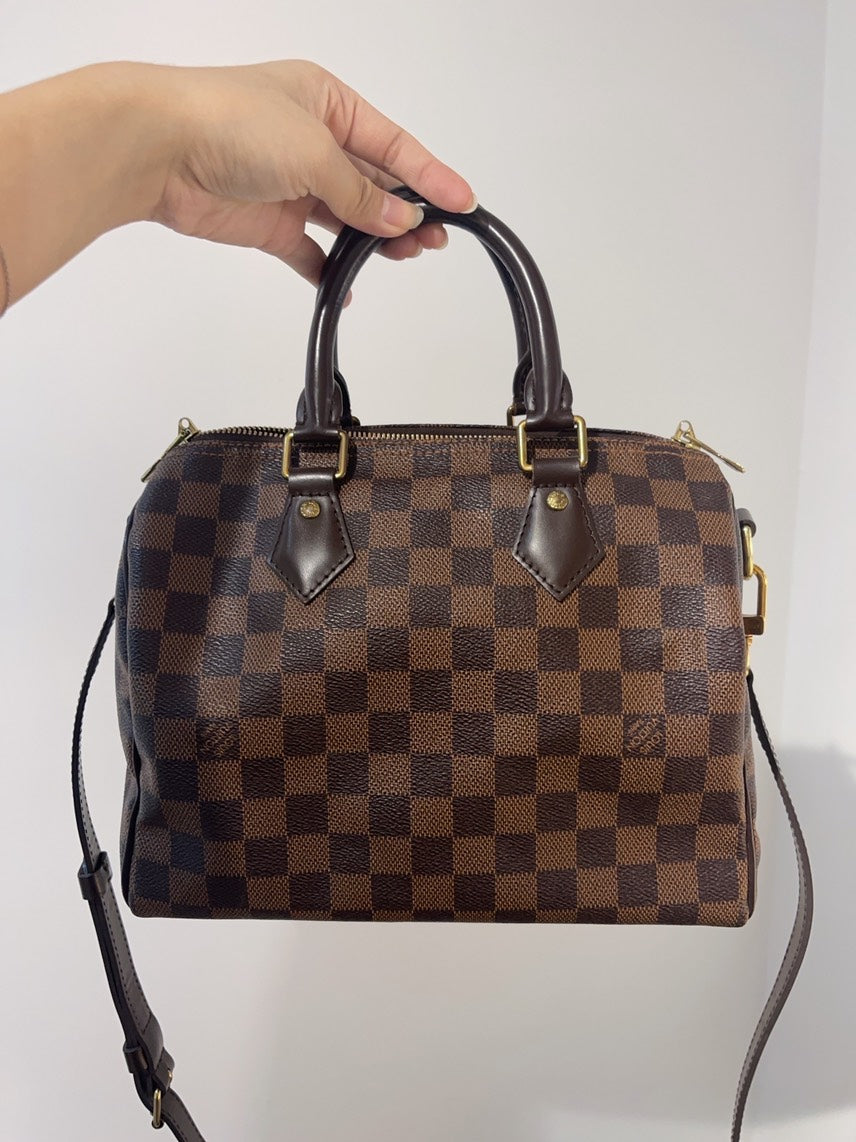 Louis Vuitton Damier Ebene Brown Handbag