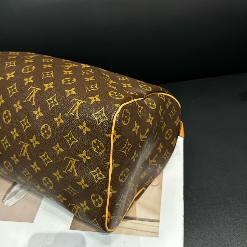 Louis Vuitton Monogram Brown Handbag