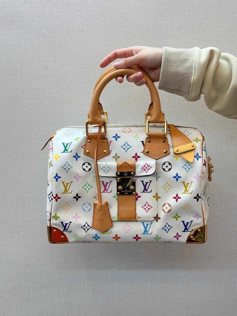 Louis Vuitton Multicolor Bag
