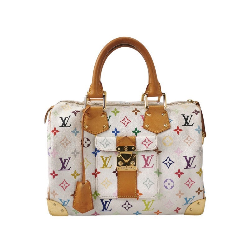 Louis Vuitton Multicolor Bag