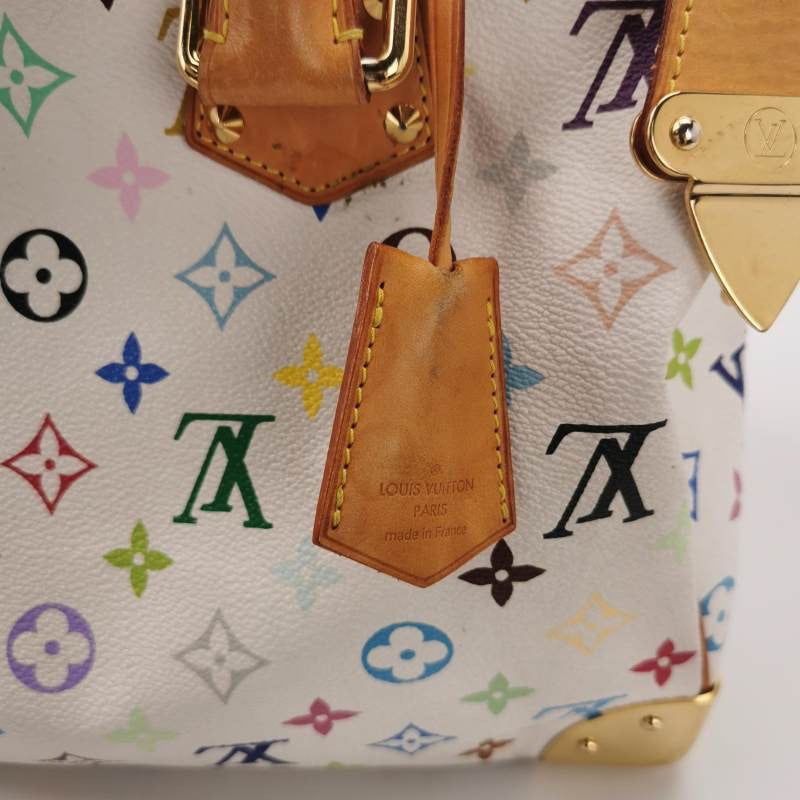 Louis Vuitton Multicolor Bag