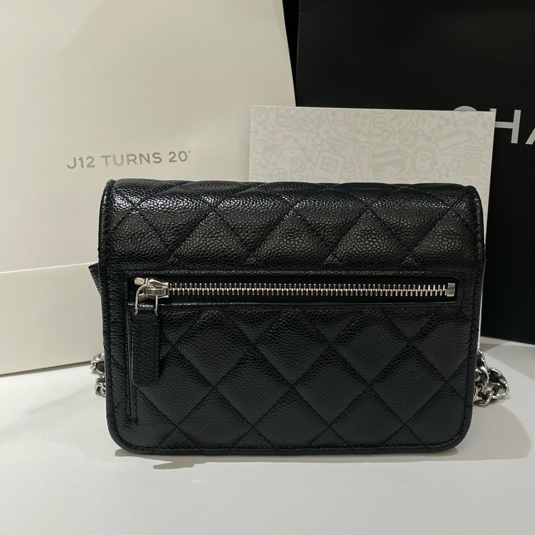 Chanel Wallet On Chain Crossbody Bag - Ewore Bags
