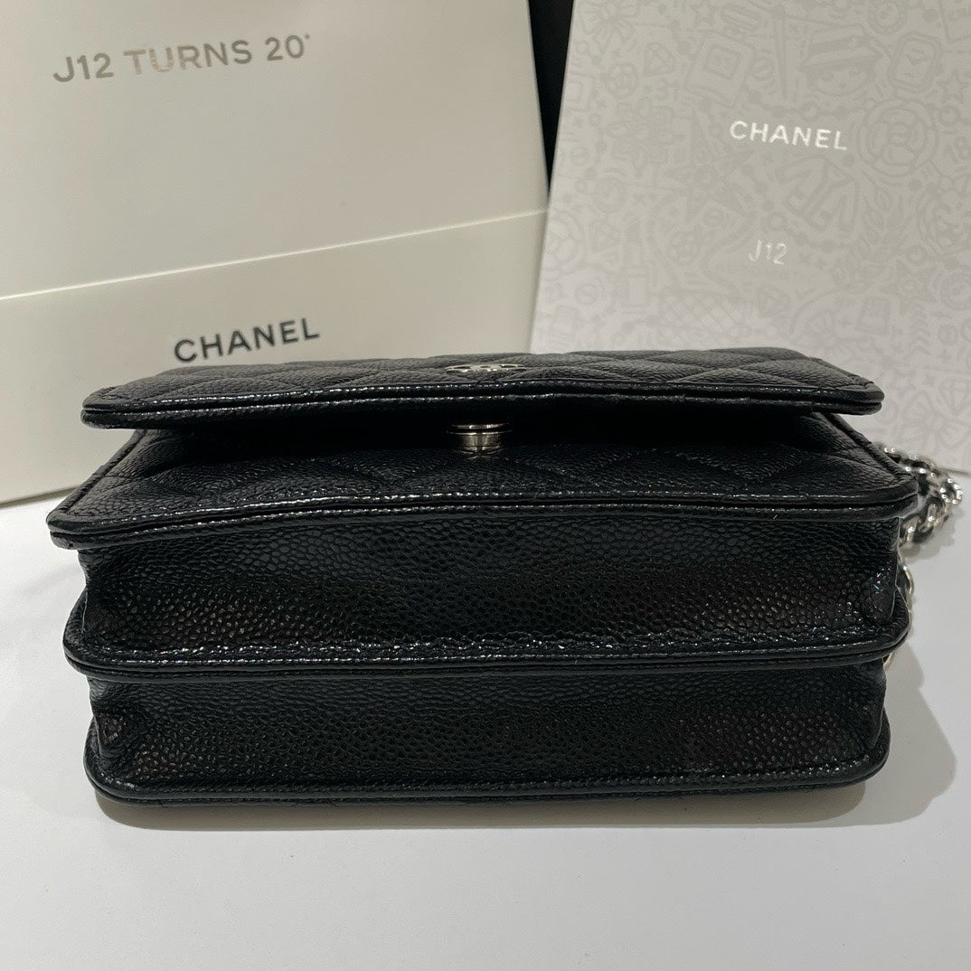 Chanel Wallet On Chain Crossbody Bag - Ewore Bags