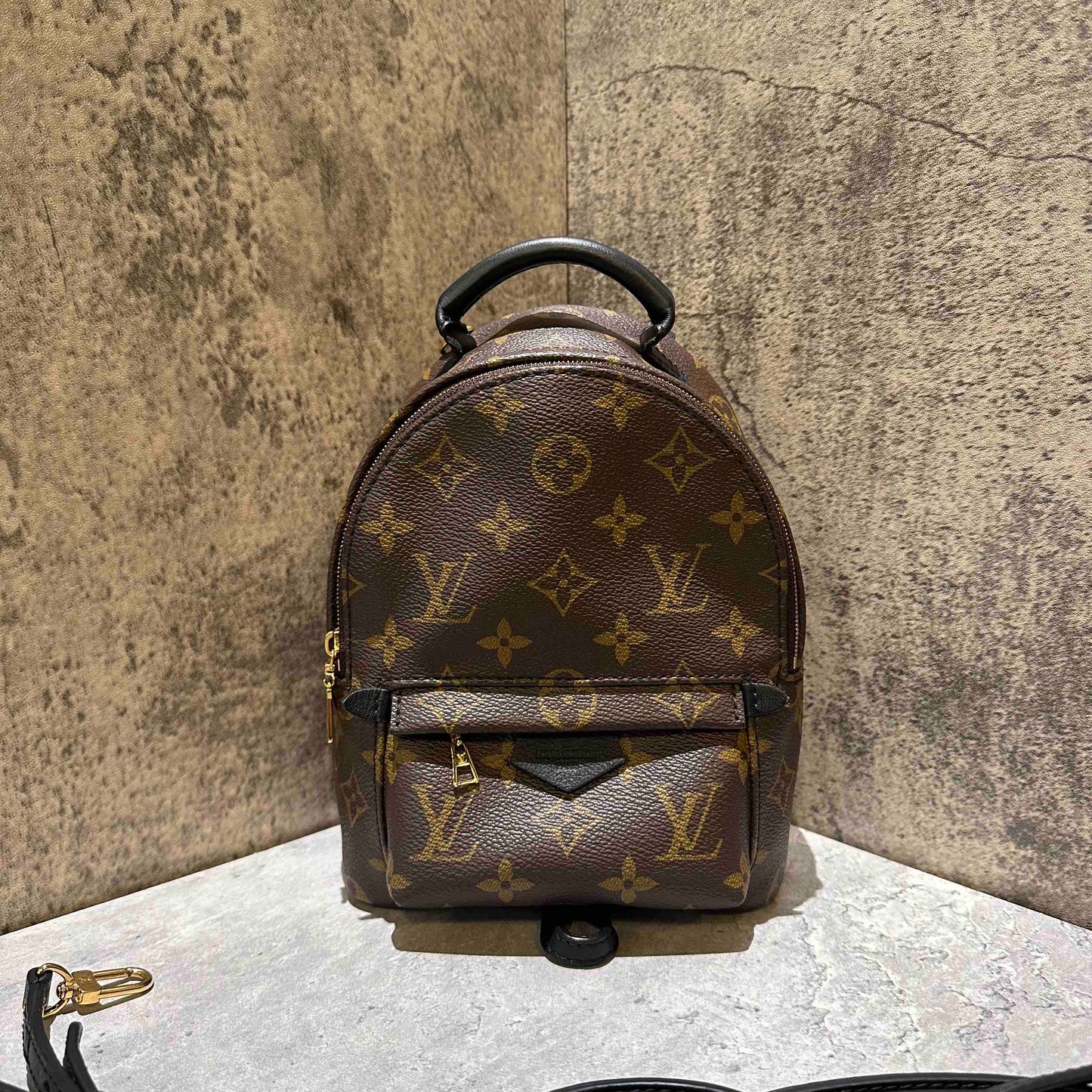 ??Louis Vuitton backpack bag microchip