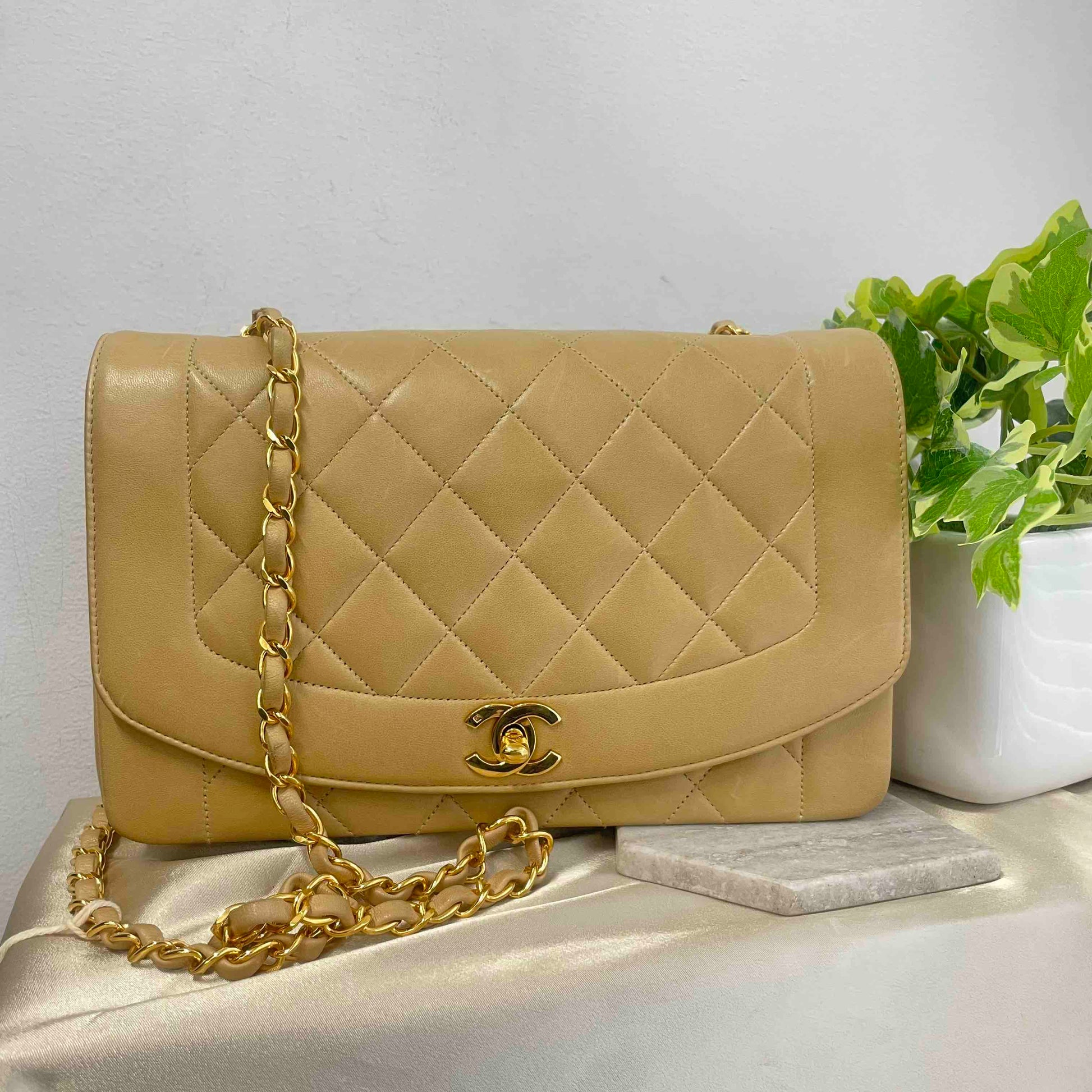 Chanel Diana Shoulder Bag - Ewore Bags
