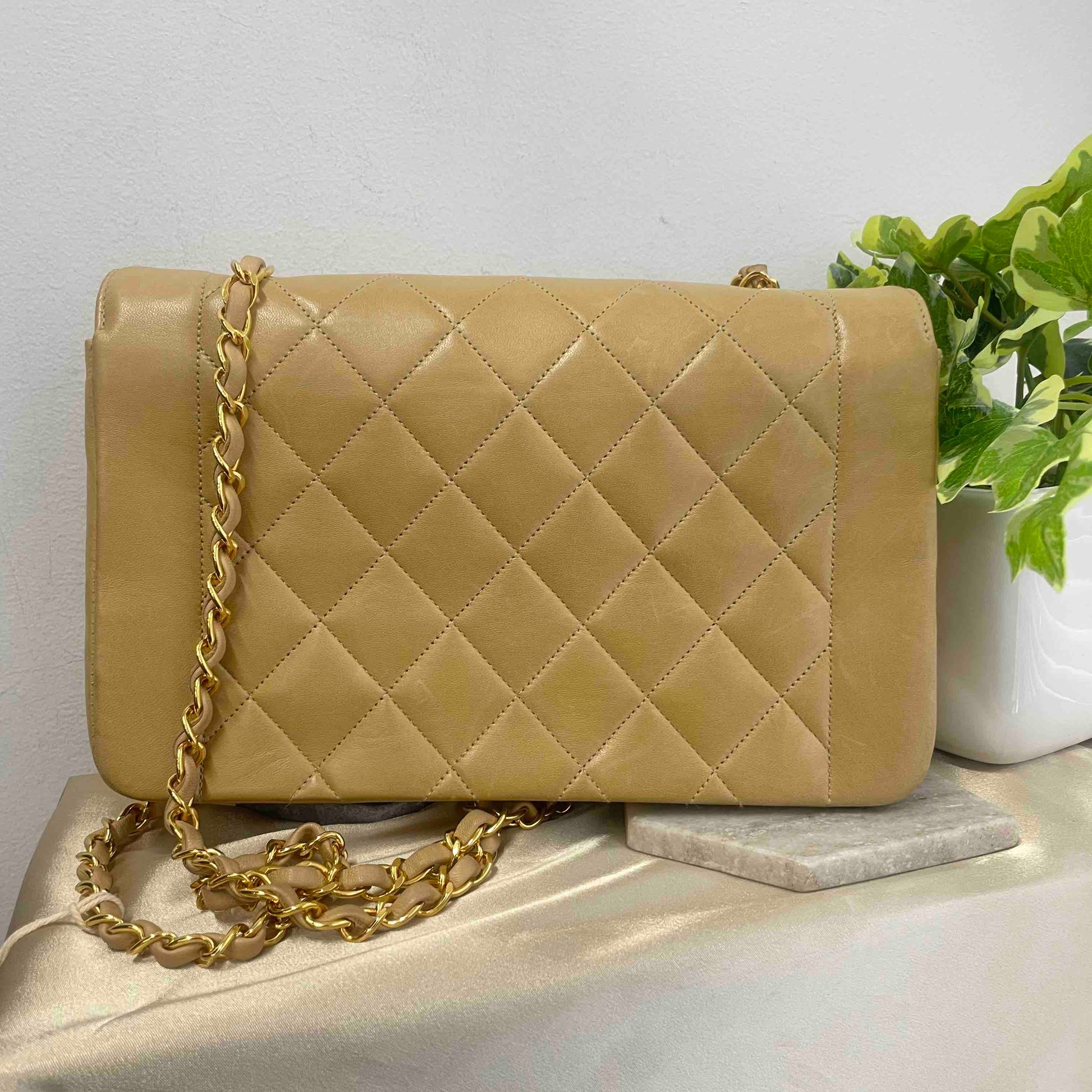Chanel Diana Shoulder Bag - Ewore Bags