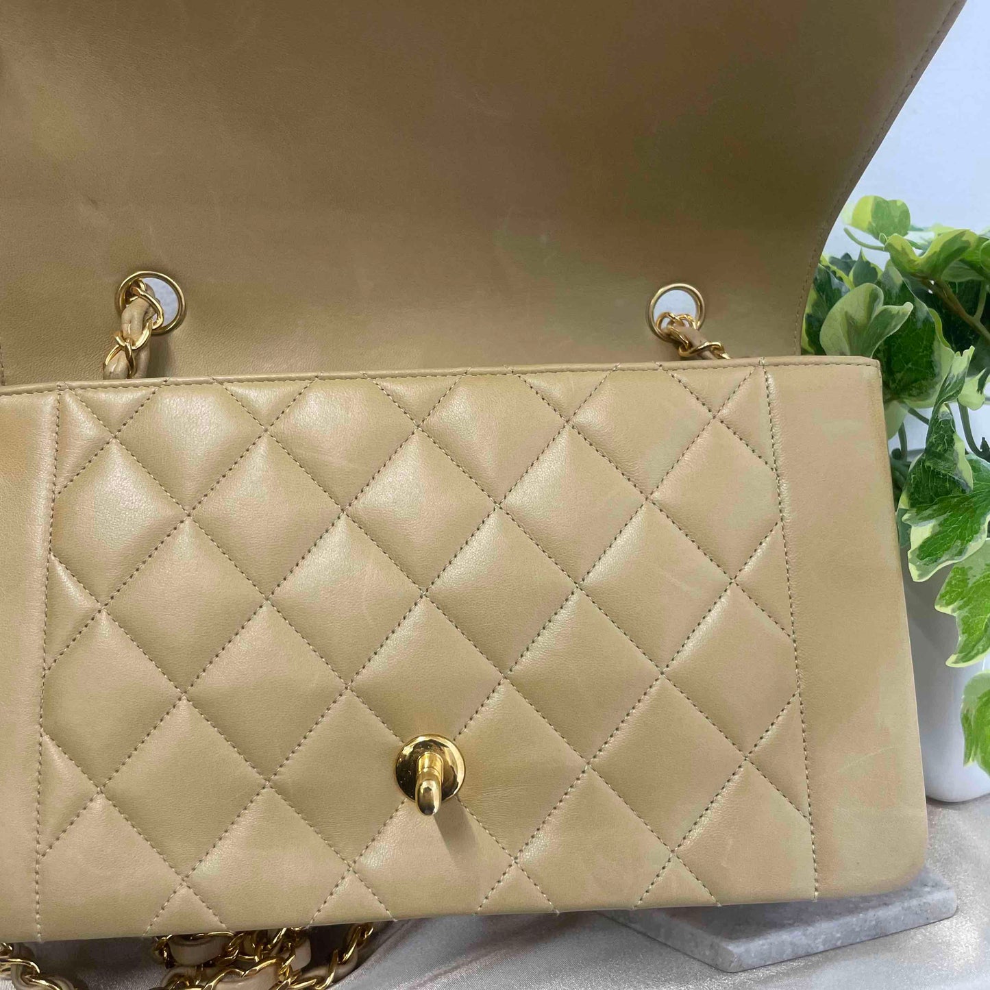 Chanel Diana Shoulder Bag - Ewore Bags