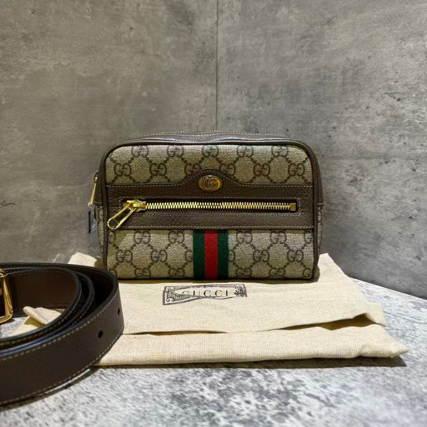 ????? gucci bumbag monogram