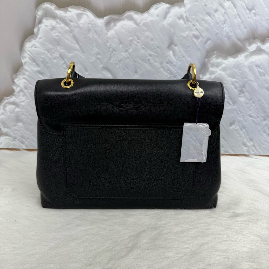 LV Louis Vuitton Bag