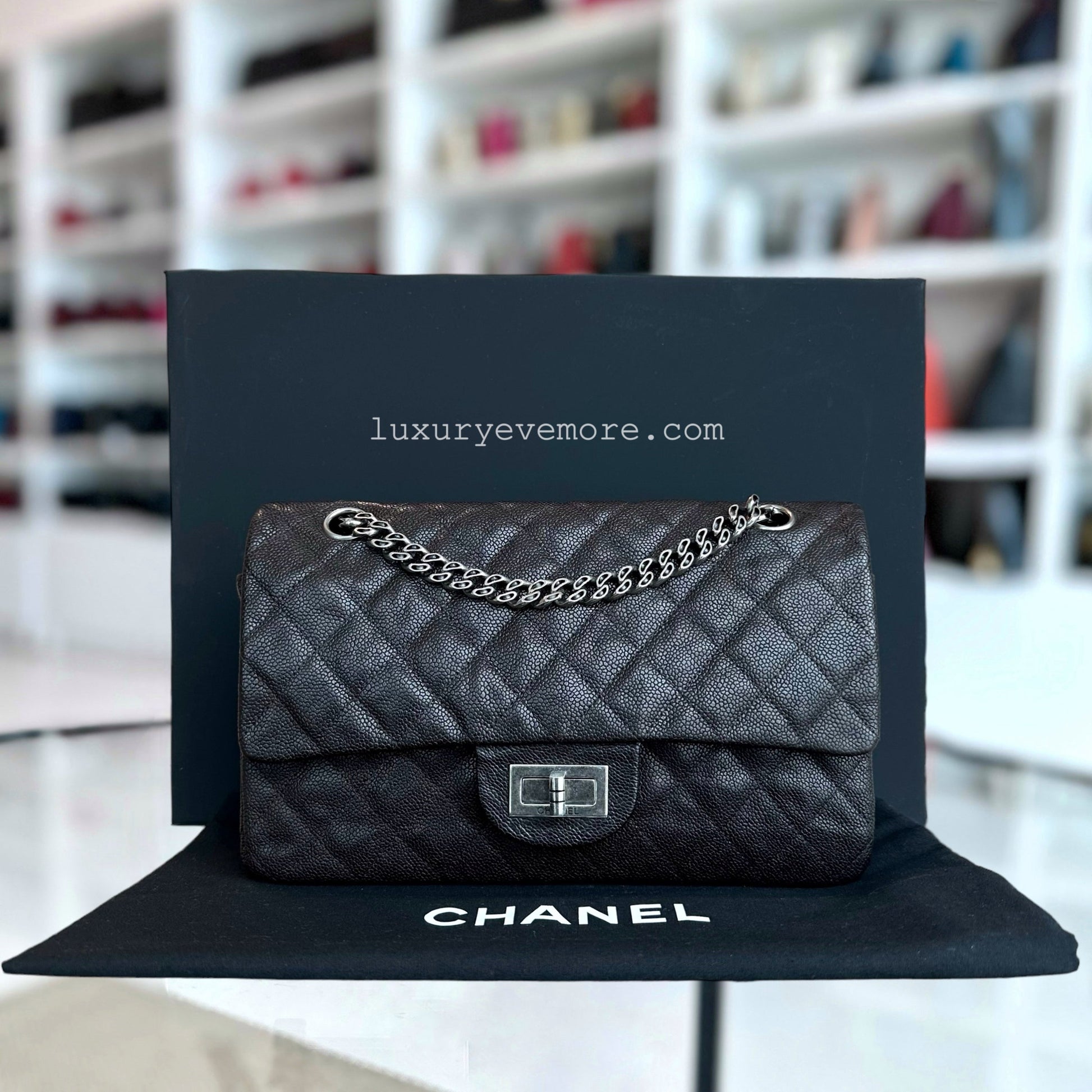 Chanel Handbag - EworeBags