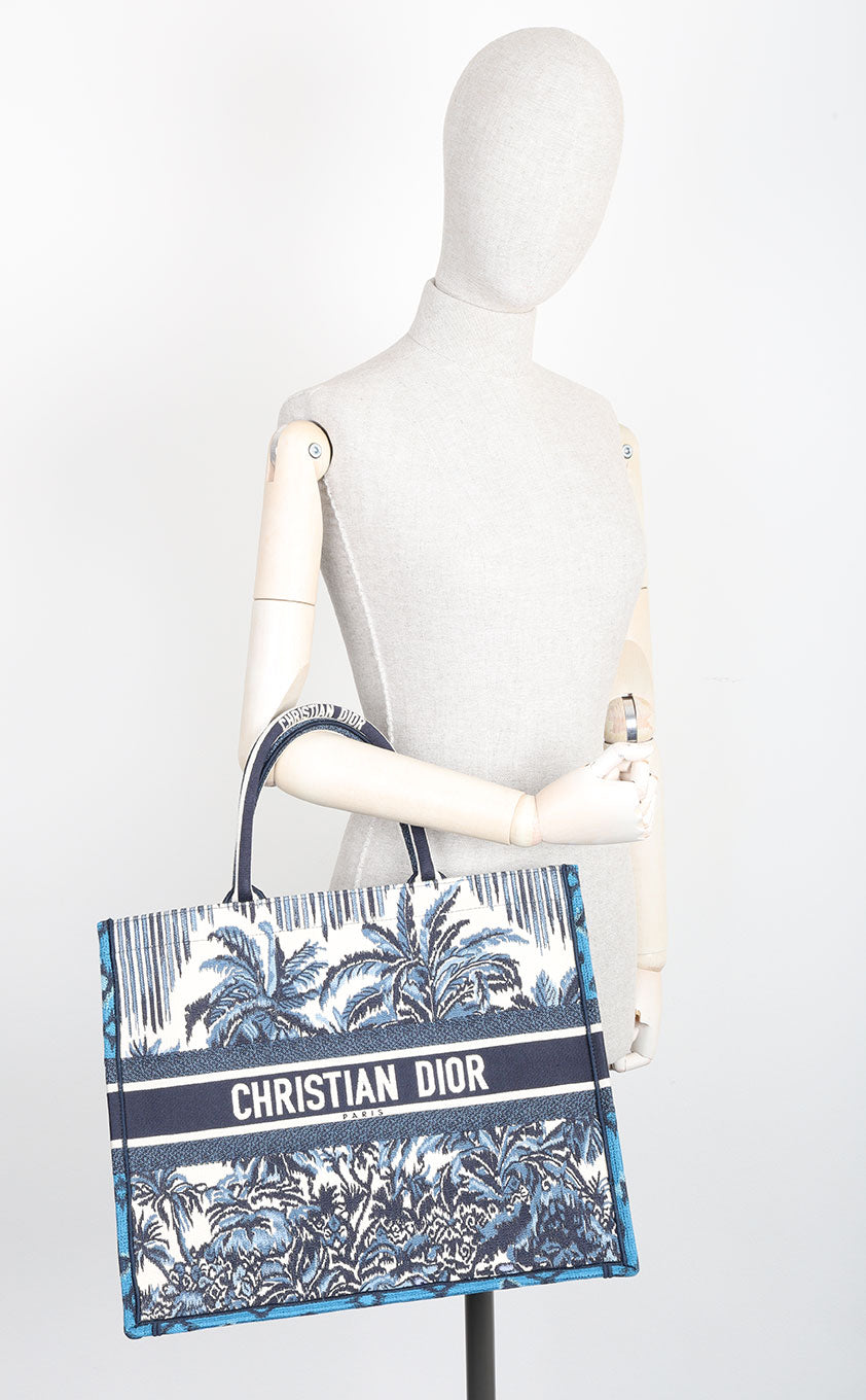 Dior Book Tote Canvas Tote