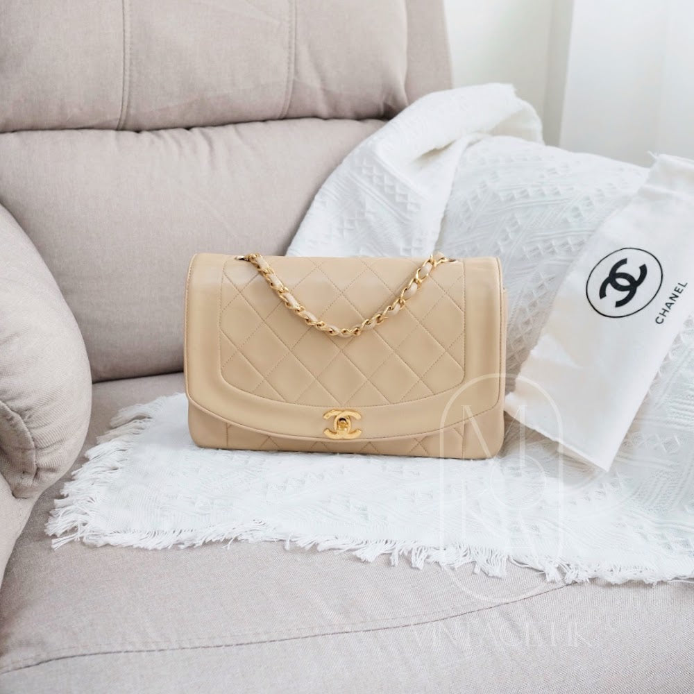 Chanel Diana Handbag Bag - Ewore Bags