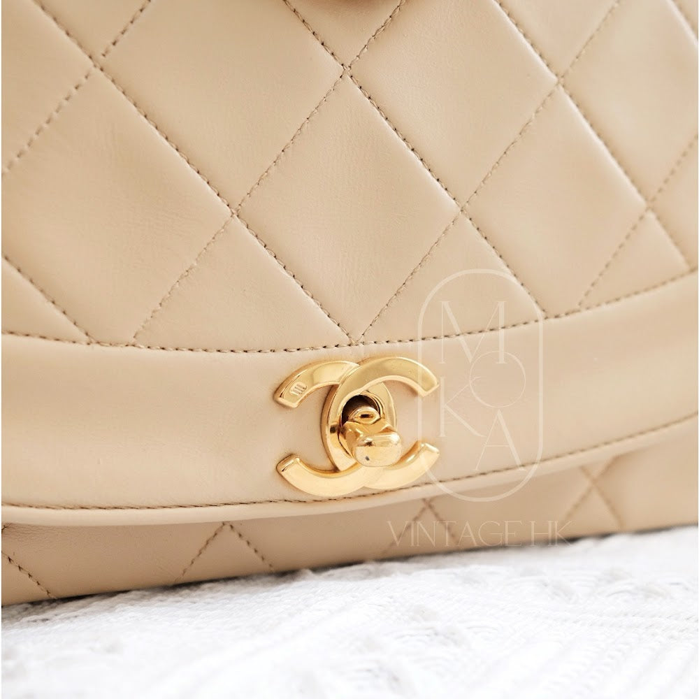 Chanel Diana Handbag Bag - Ewore Bags