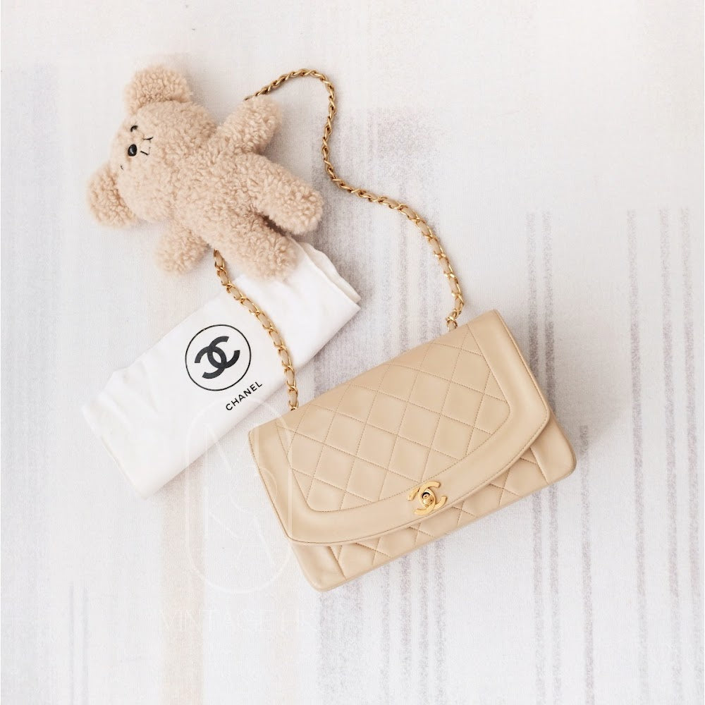 Chanel Diana Handbag Bag - Ewore Bags