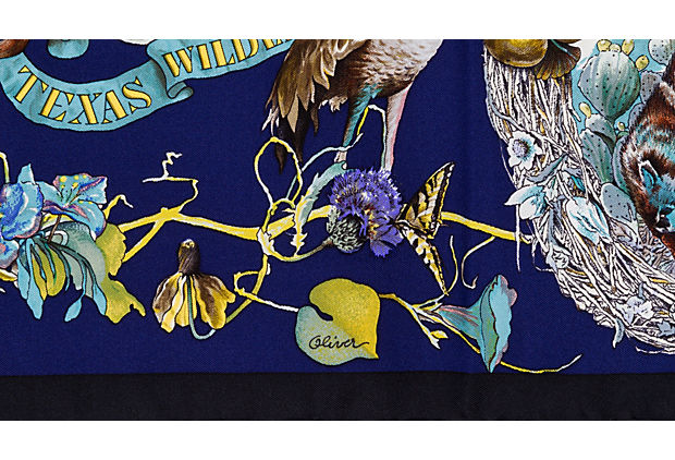 Hermes Faune et Flore Du Texas Blu Scarf