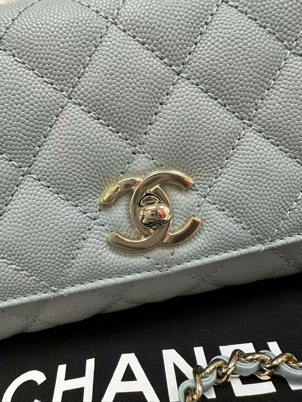 Chanel (22)Coco Handle Mini